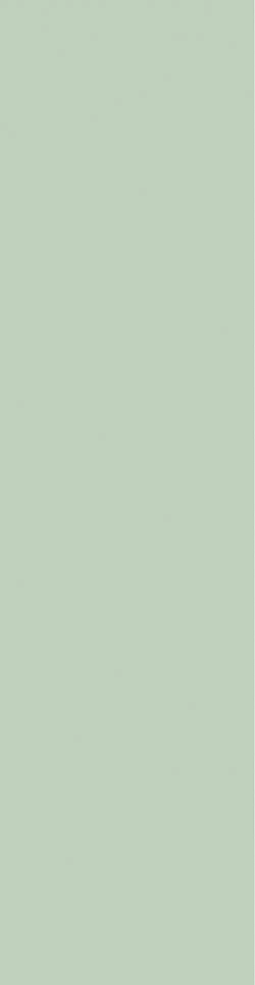 Baderomspanel 3085 60x240cm light green