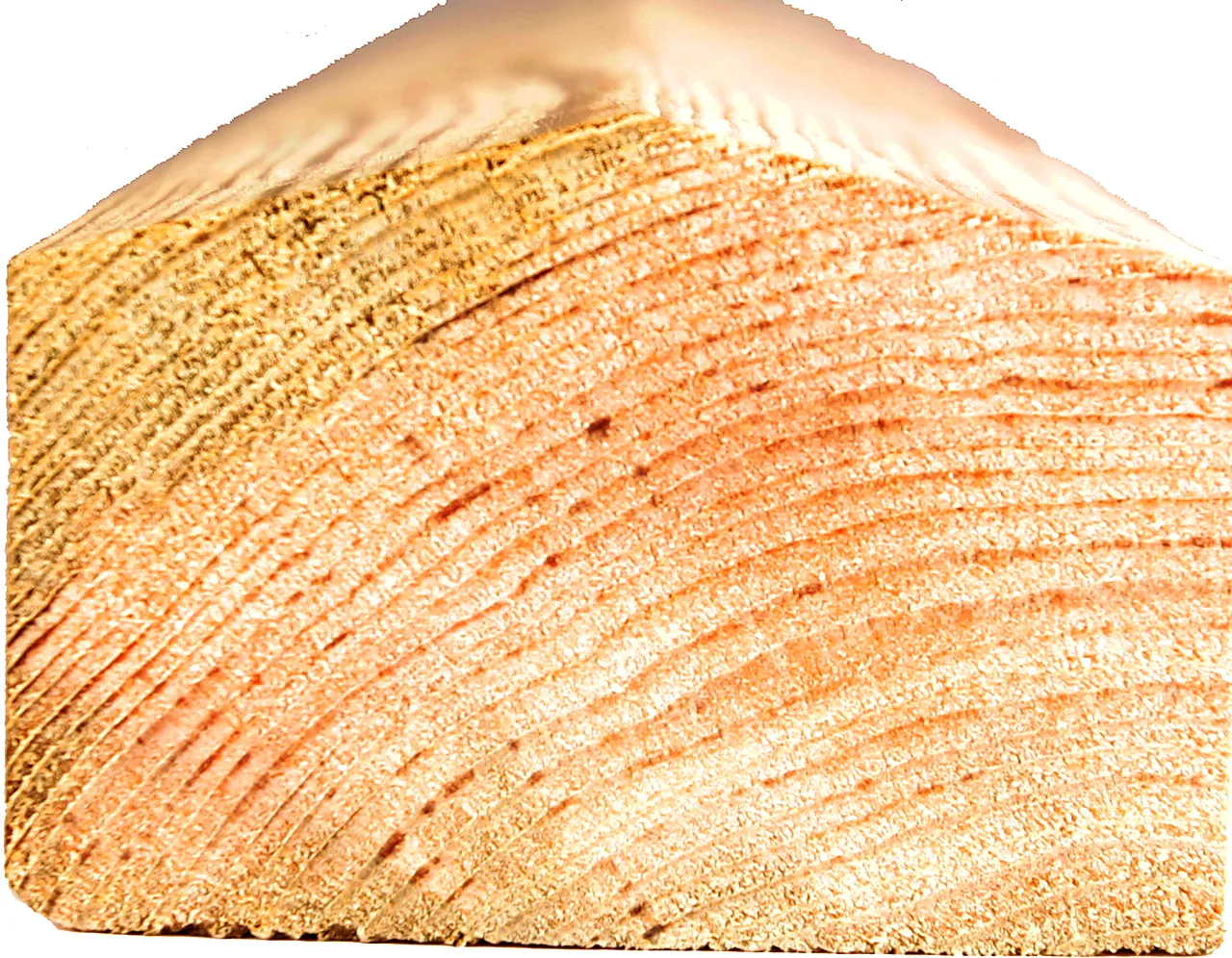 Bunnlist 36x73mm 050600thf sps