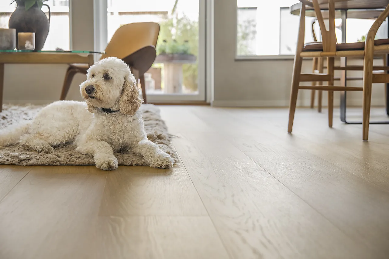 Gulv eik herdet mattl akk larvik XXL null - null - 2 - Miniatyr