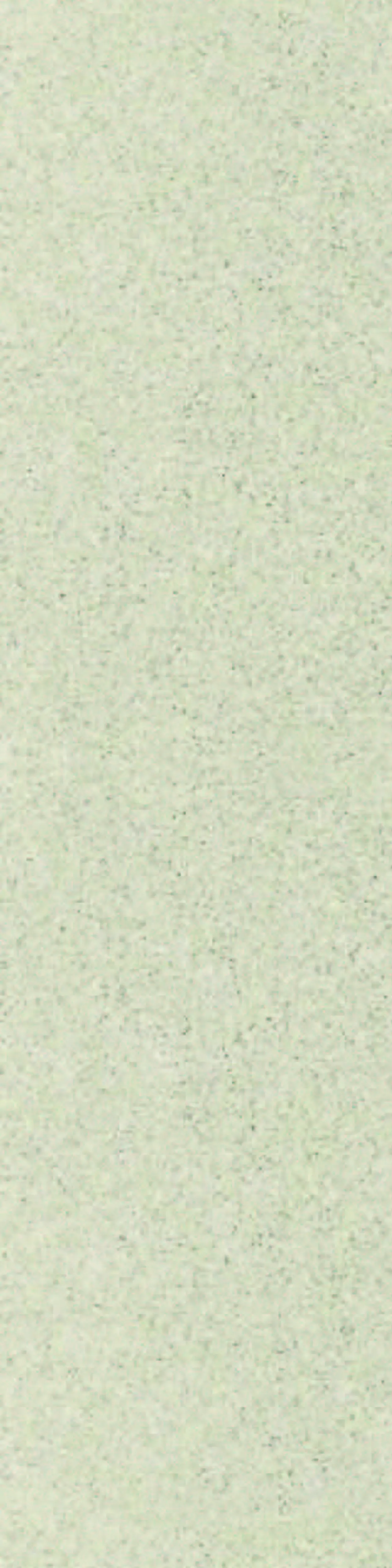 Panel 11x620x2390 mm Bianca Dust