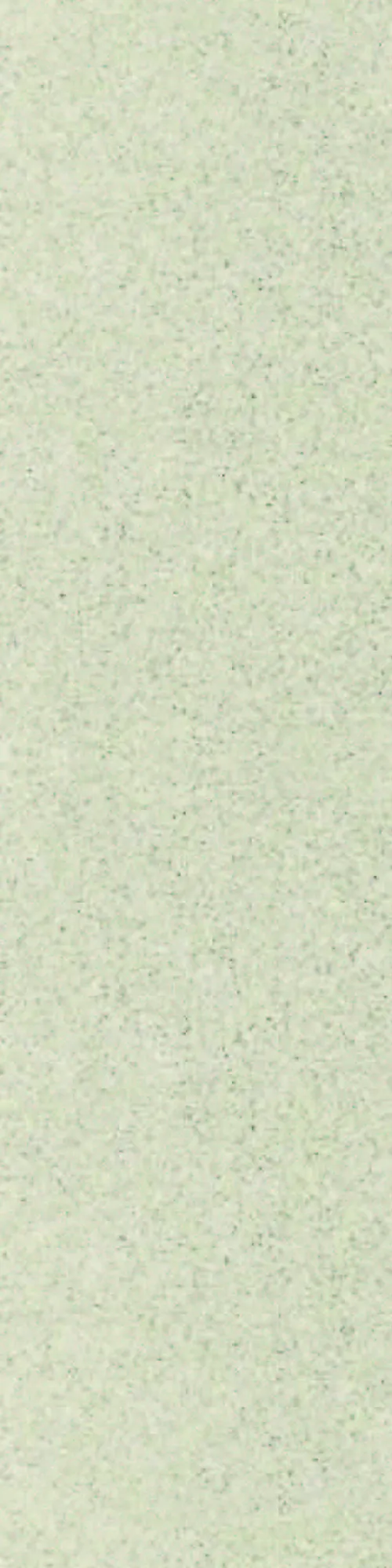 Panel 11x620x2390 mm Bianca Dust