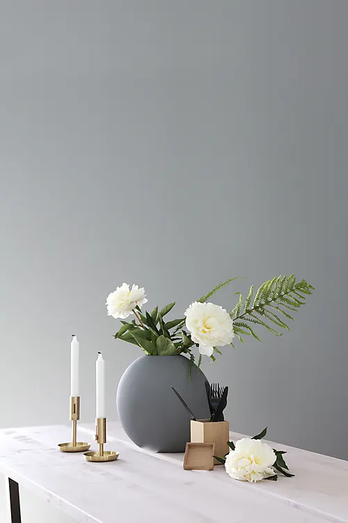 Veggplate Walls2Paint 12x620x2390 mm