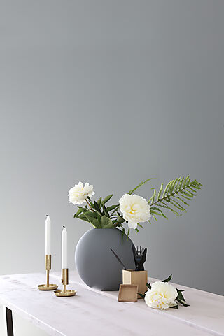 Veggplate Walls2Paint 12x620x2800 mm